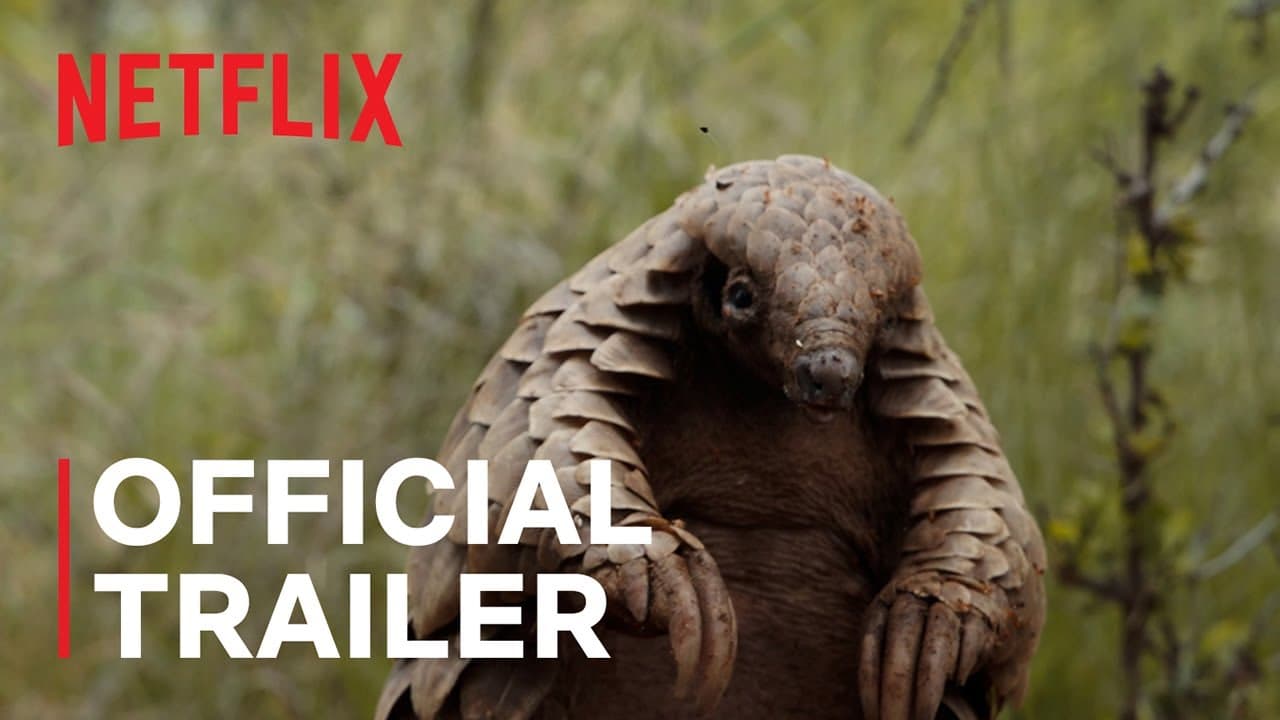 Trailer thumbnail