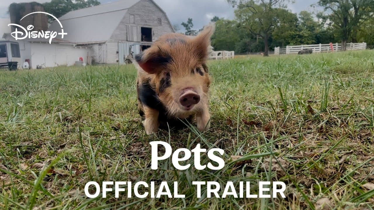 Trailer thumbnail