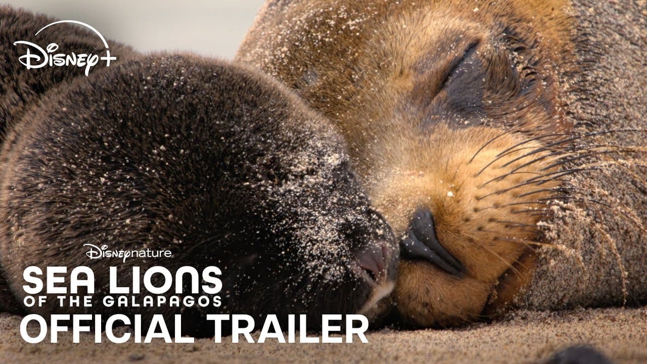 Trailer thumbnail