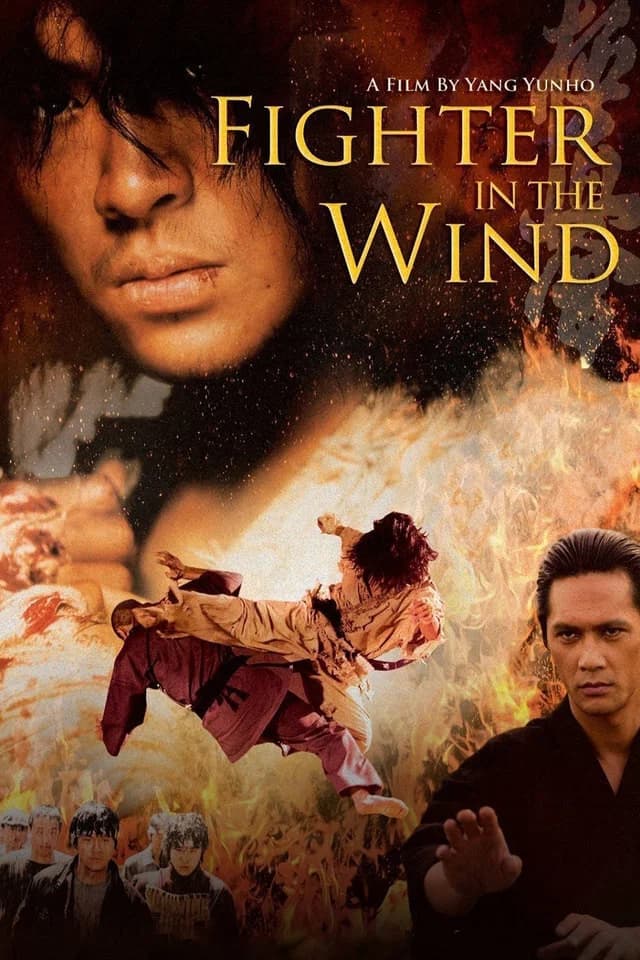 Fighter in the Wind (2004) Sinhala subtitle poster