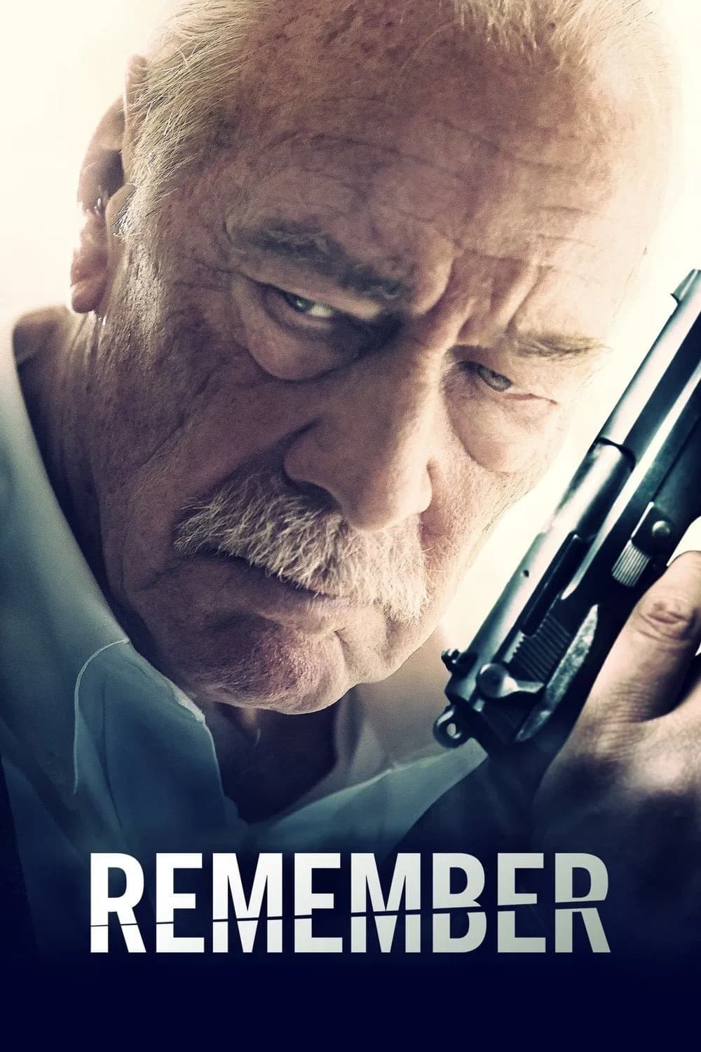 Remember (2015) Sinhala subtitle poster