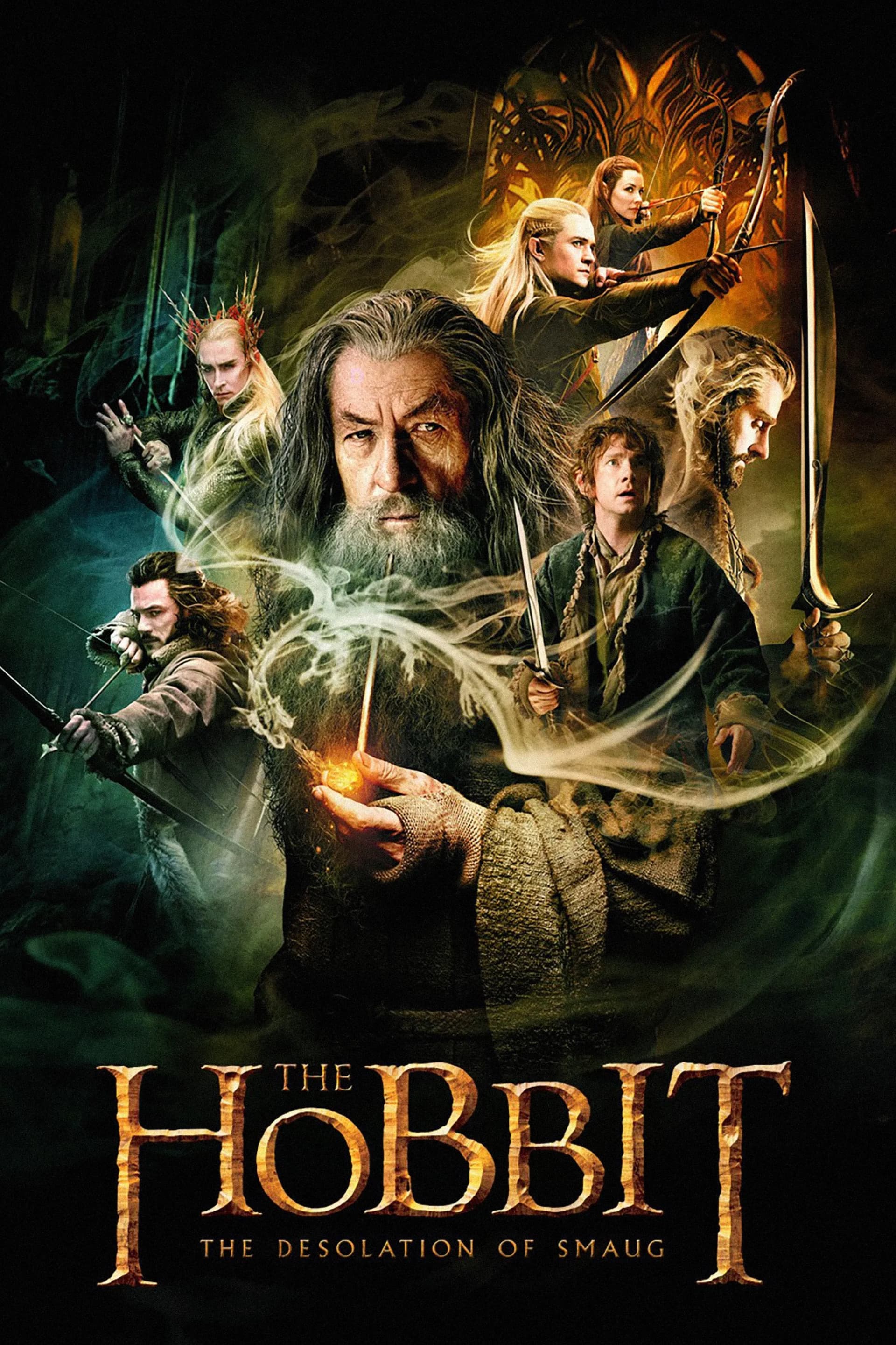 The Hobbit: The Desolation of Smaug (2013) Sinhala subtitle poster